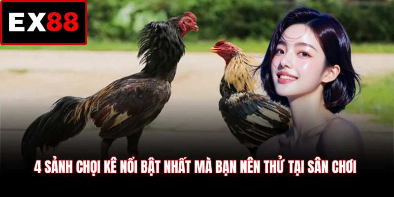 4 sảnh chọi kê nổi bật nhất mà bạn nên thử tại sân chơi