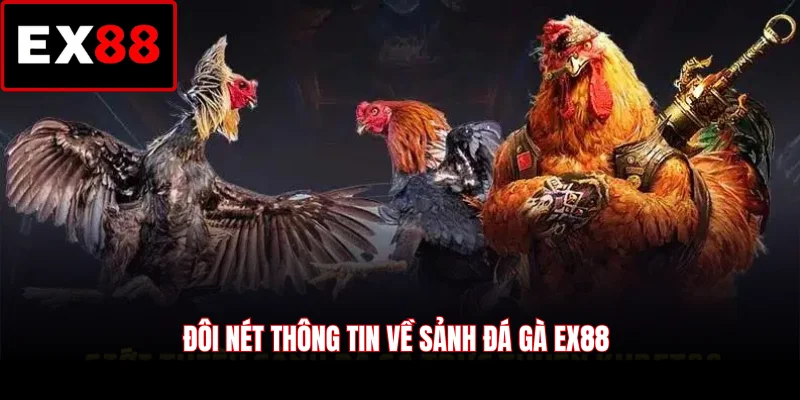 Đôi nét thông tin về sảnh đá gà EX88